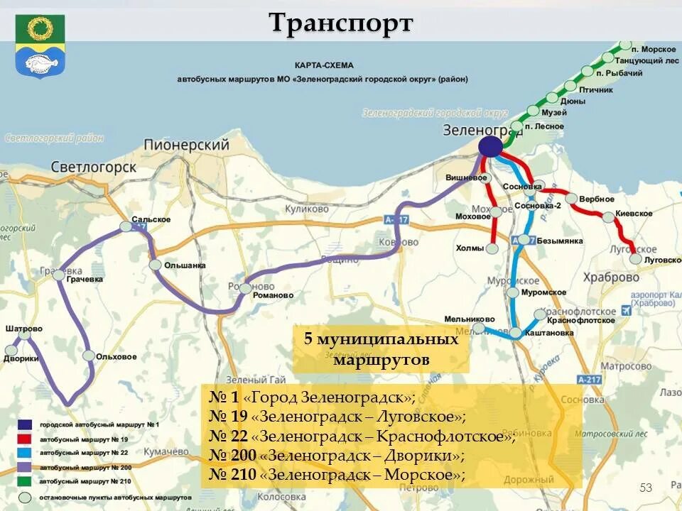 Автобус калининград зеленоградск остановки. Аэропорт Храброво Калининград на карте. Автобус Зеленоградск аэропорт Храброво. Зеленоградск Храброво автобус. Схема городского транспорта Зеленоградска.