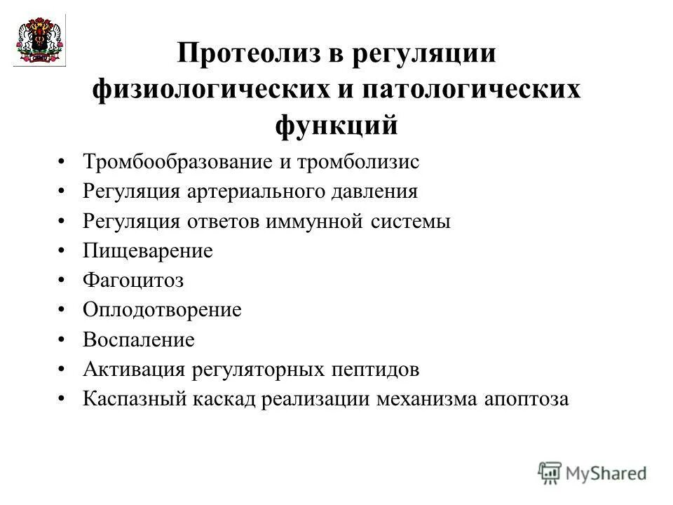 Механизмы регуляции физиологических функций. Механизмы регуляции физиологических функций