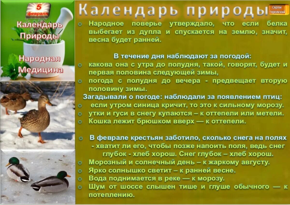10 февраля приметы и поверья. 5 февраля народные приметы. 5 февраля народный календарь. 5 февраля народный календарь приметы. праздник агафий полухлебник.
