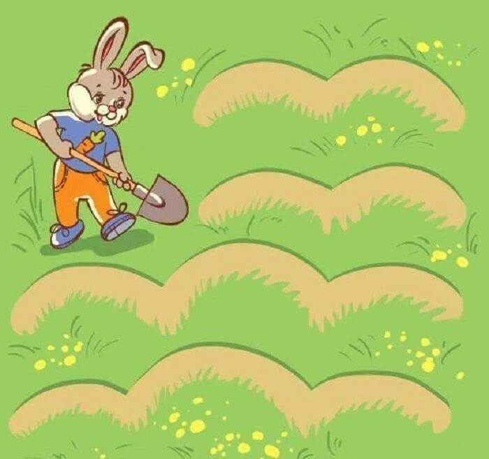 Поможем зайке. Заяц на тропинке. Зайчик на грядке. Пустая грядка для детей. Зайчик в огороде.
