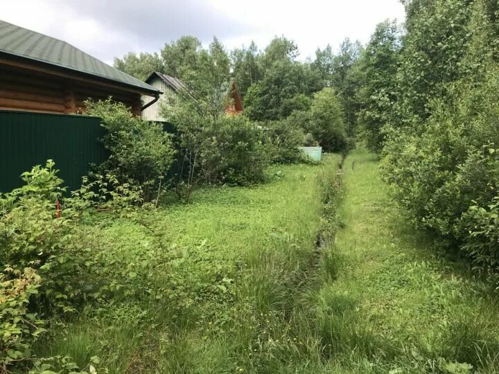 Андрейково тверская область. Погода в андрейково рузский. Деревня усадково рузский. Погода в андрейково рузский. Погода в андрейково рузский.