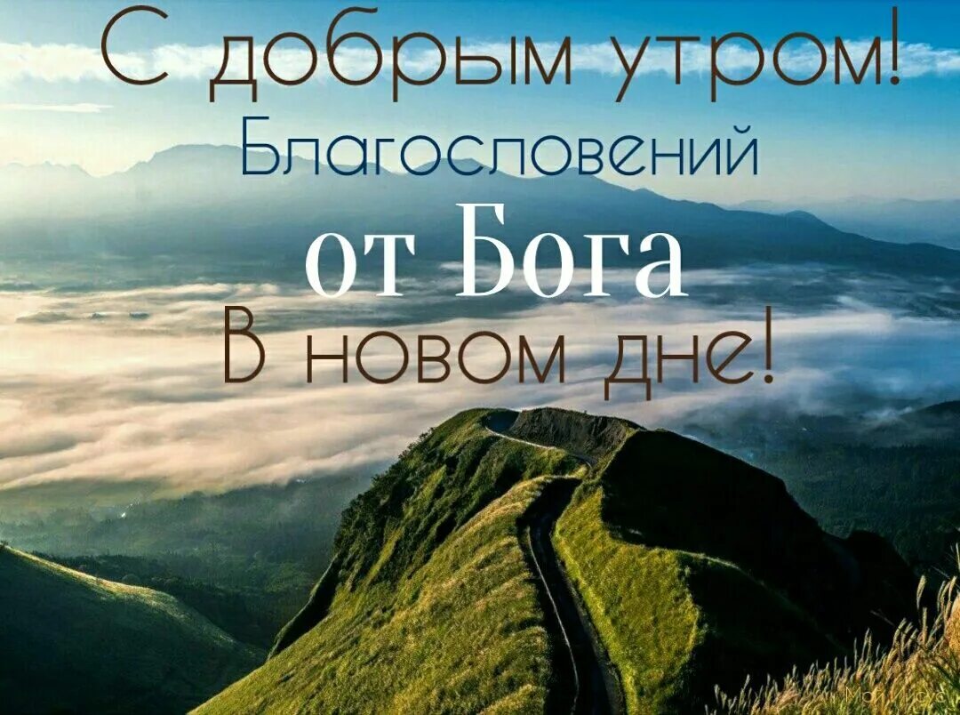 Доброе утро христианские. Доброе утро дог. С добрым утром с Богом. Доброе утро с Господом Богом. Утро богов.