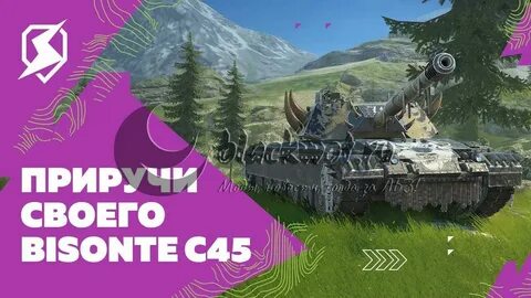 Bisonte c45 wot blitz