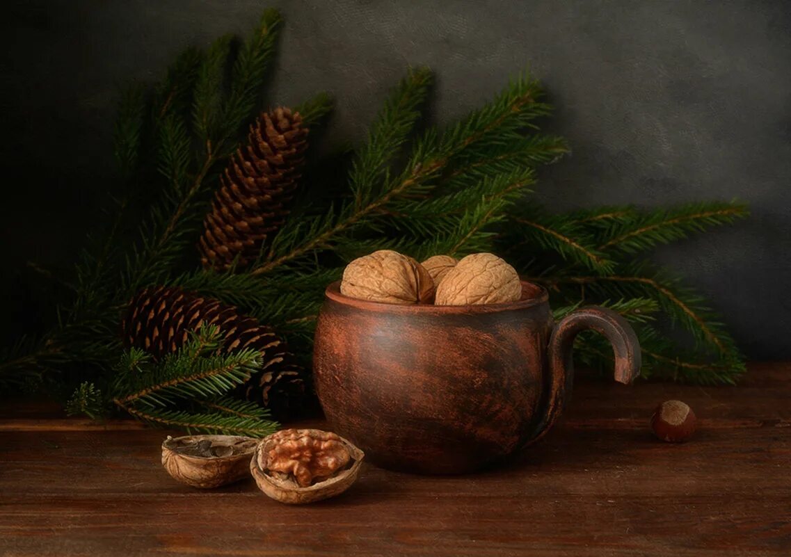 натюрморт с еловыми ветками. фотонатюрморты с шишками. натюрморт шишки. натюрморт шишки. натюрморт шишки.