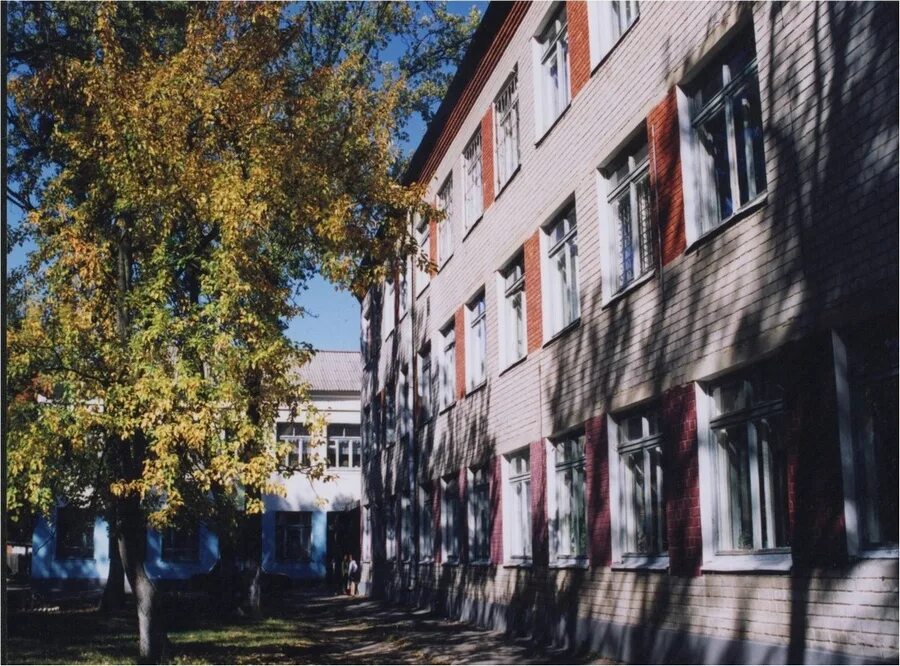 Школа 56 воронеж сомово. Мкр сомово воронеж. Школа в сомово воронеж. Сомово школа. Сомово школа.