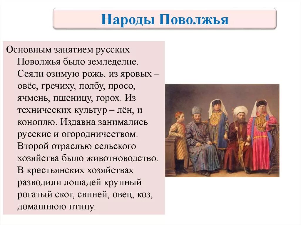 Народы Поволжья. Занятия народов Поволжья 17 век. Народы Поволжья в XVII веке. Основные занятия народов Поволжья. Кратко народы россии в 17 в