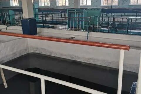 Сетевой 41 петропавловск камчатский