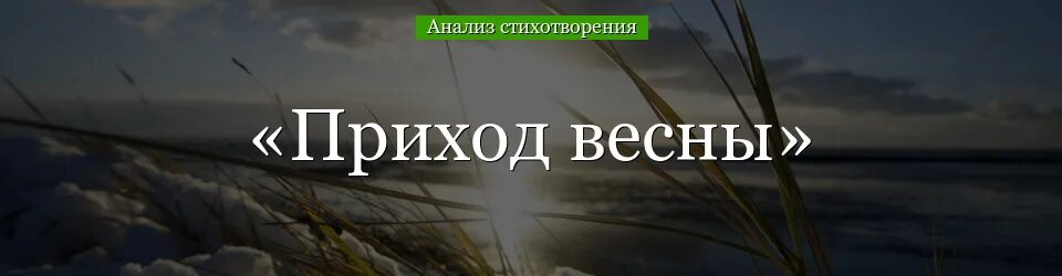 Анализ стихотворения приход весны. Приход весны Жуковский анализ. Анализ стихотворения приход весны Жуковский. Анализ стихотворения Жуковского приход весны кратко.