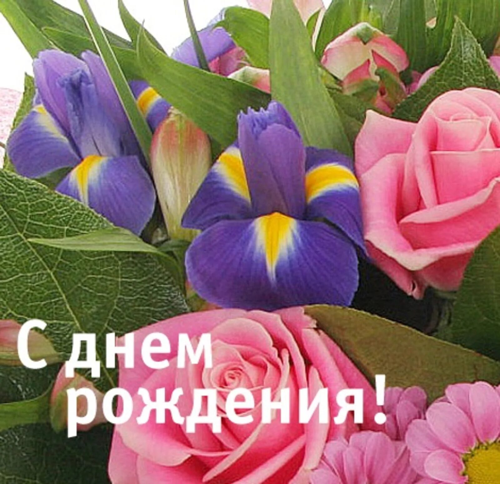Поздравления с днём рождения Ольге. Поздравляем с днем рождения цветы. Поздравление с днем рождения оля своими словами