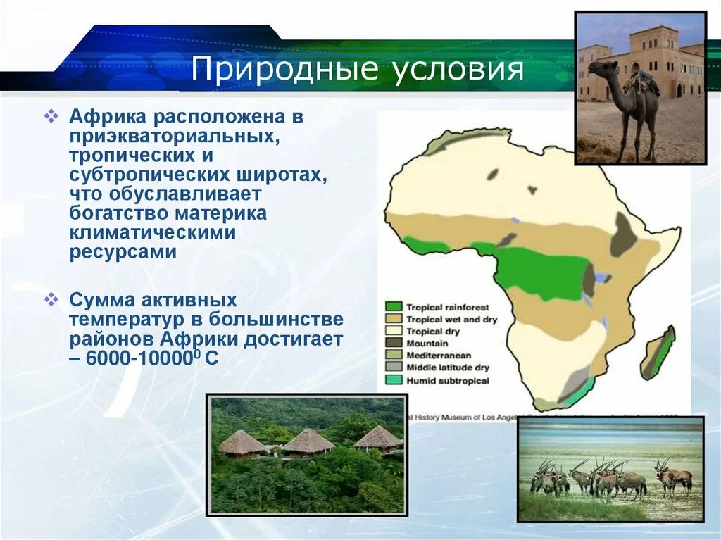 Южная африка особенности природно ресурсного капитала. Природные условия Африки. Природные условия и ресурсы Африки. Природные условия Северной и тропической Африки. Африка прородныеусловия.