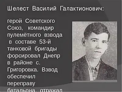Шелест герои. Шелест герои. Шелест герой советского союза. Шелест герои. Шелест герои.