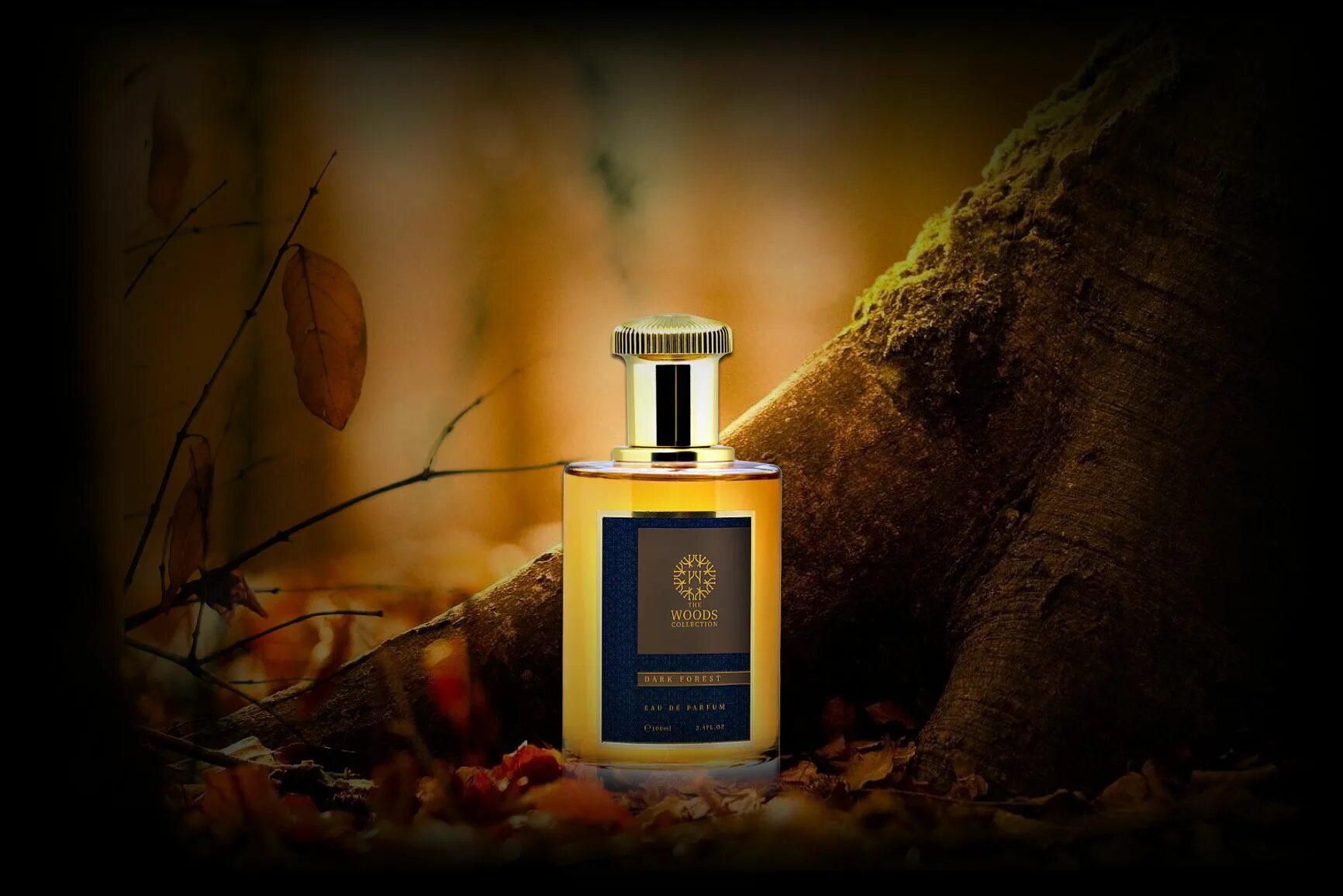 Dark Forest Wood collection Парфюм. Woods духи Dark Forest. The Woods collection Dark Forest EDP 100ml. Аромат the Woods collection Dark Forest.