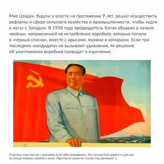 Мао мао фармацевт