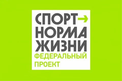 Региональный проект спорт норма жизни