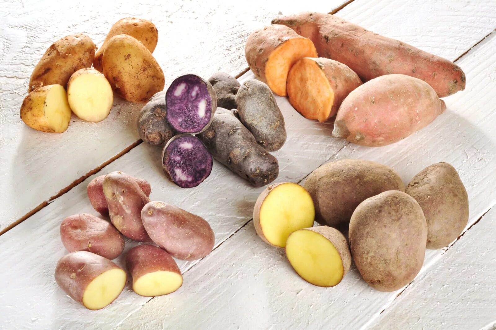 Картофель какая среда. Картошка разных сортов. Различные сорта картофеля. Форма клубней картофеля. Разные цвета картошки.