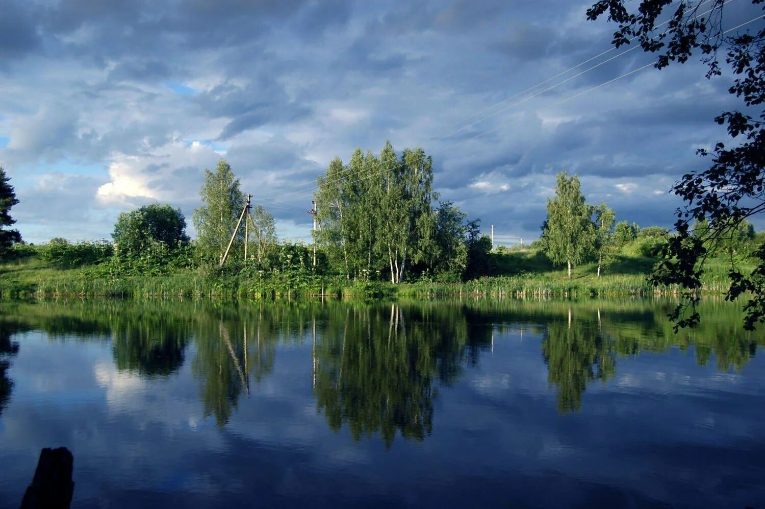 Подмосковье. Природа подмосковья. красивая природа в подмосковье. лето в подмосковье.
