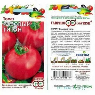 Томат титан характеристика фото