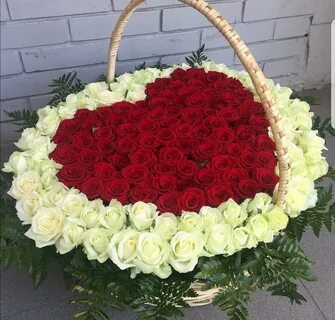 250 цветов