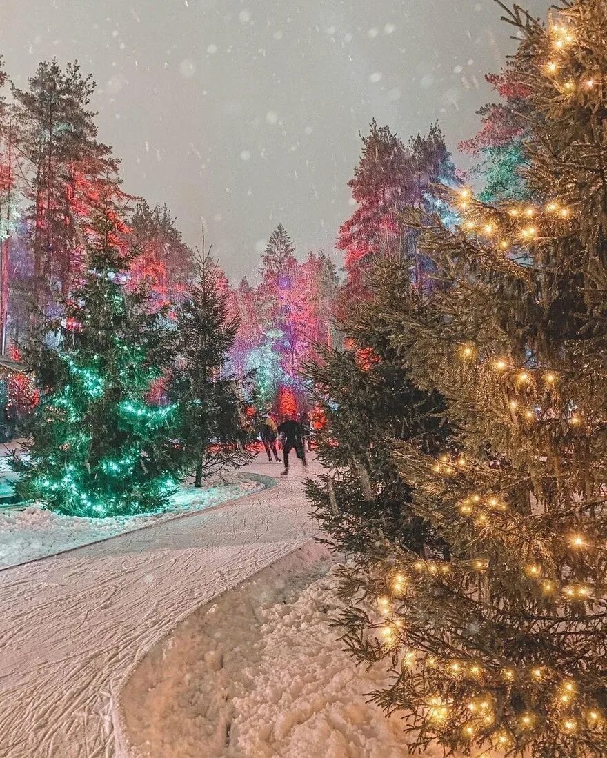 Охта парк новый год 2022. Режим работы охта парк в новогодние праздники. Охта-парк санкт-петербург лесной каток. Охта-парк санкт-петербург лесной каток. Охта парк каток.