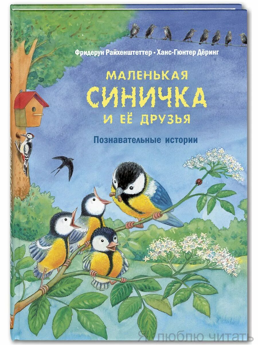 Диалог синички и ежика
