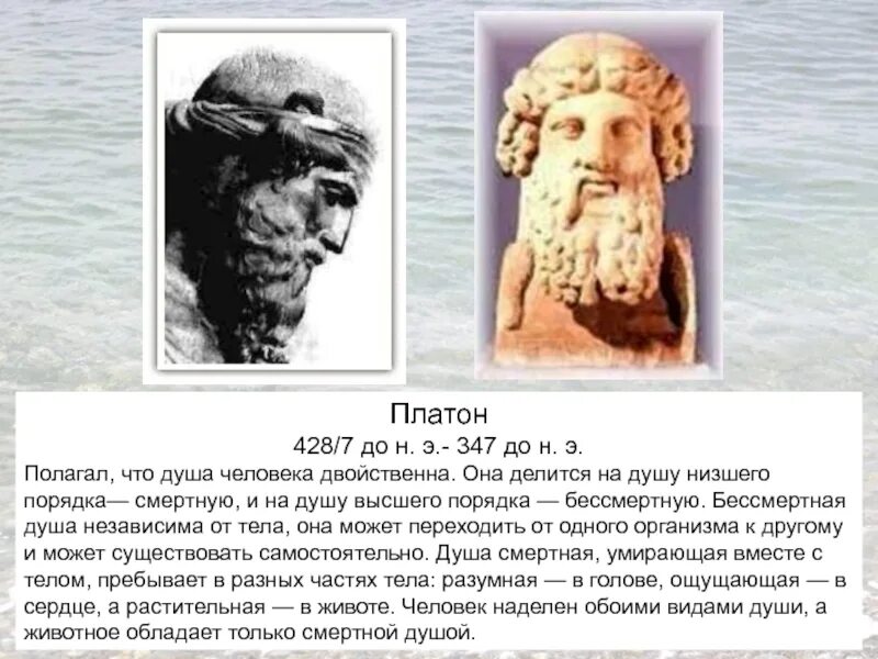 Платон бессмертие души. Платон (428-328 до н.э.). Платон полагал что душа. Платон Демокрит и душа. Платон 428.