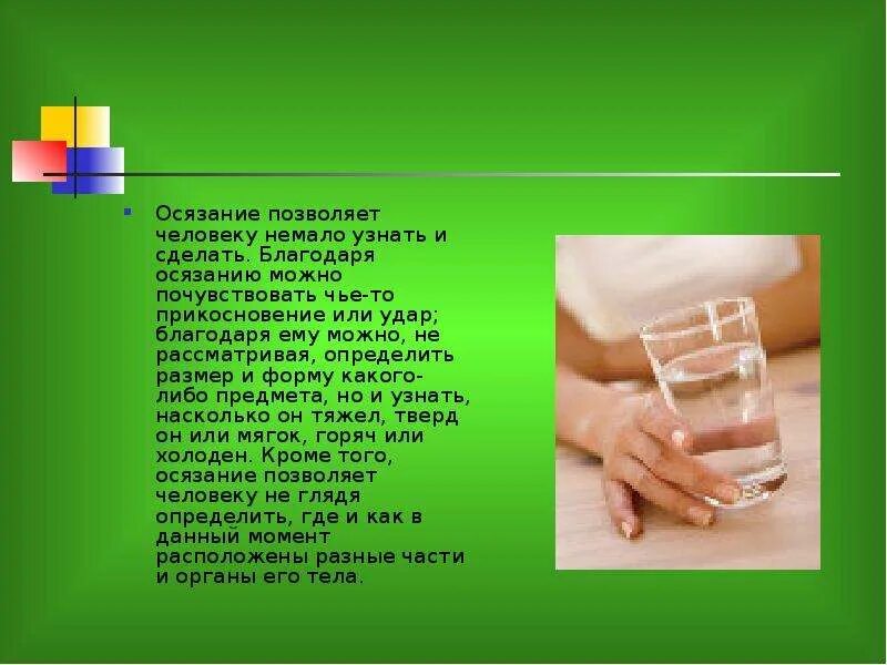 Чувство осязания дает информацию о таких свойствах. Интересные факты об осязании человека. осязание предметов. орган осязания факты. органы чувств человека осязание.