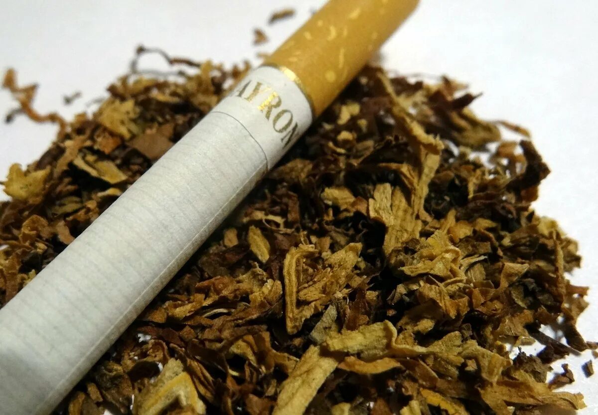 Купить табак для сигарет на озоне. Табак курительный тонкорезаный. Табак для самокруток. Табачный лист для самокруток.