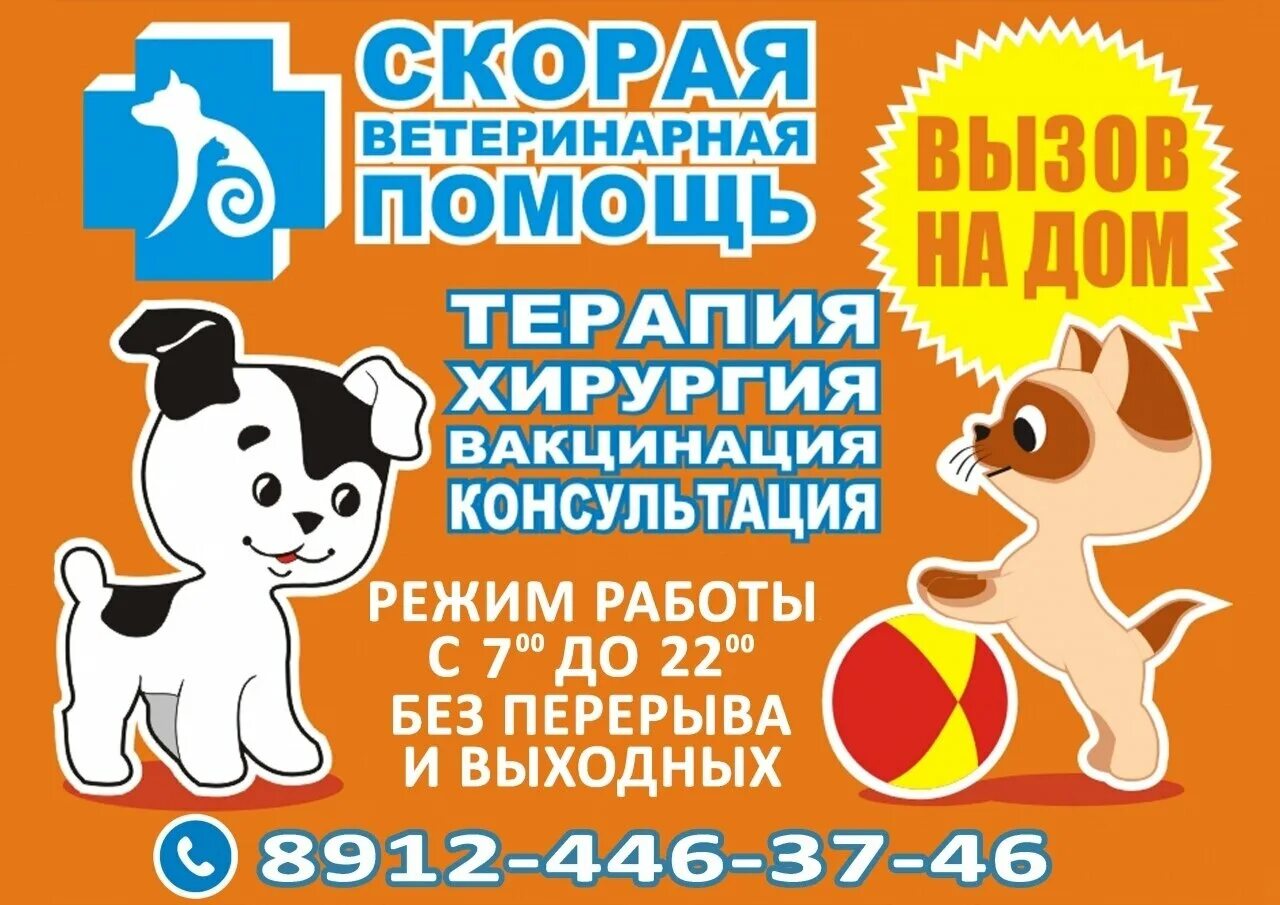 Помощь животным можга