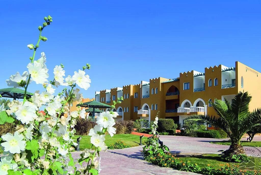 Санрайз гарден египет хургада. Sunrise garden beach resort hurghada. Санрайз гарден бич египет хургада. Санрайз гарден египет хургада. Санрайз бич хургада.