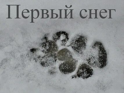 День белой козы 1 декабря