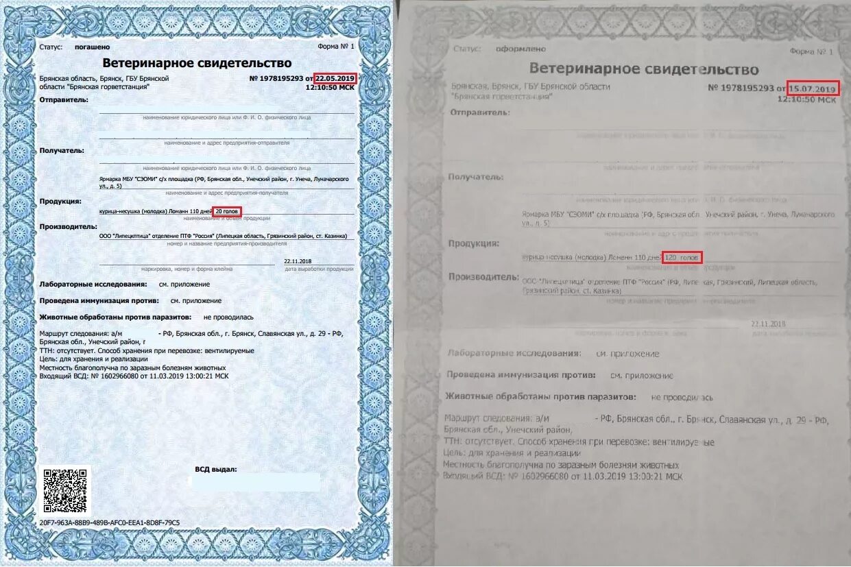 протокол изъятия вещей и документов коап образец. осмотр документов бланк. протокол осмотра телефона. протокол личного досмотра образец. протокол осмотра прелактов.
