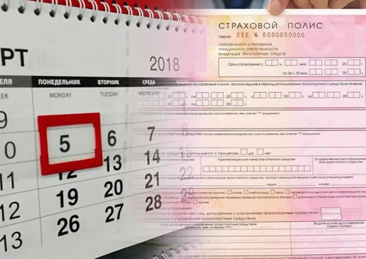 Оформить осаго на неделю. Кимы егэ. осаго. экзамен по математике.