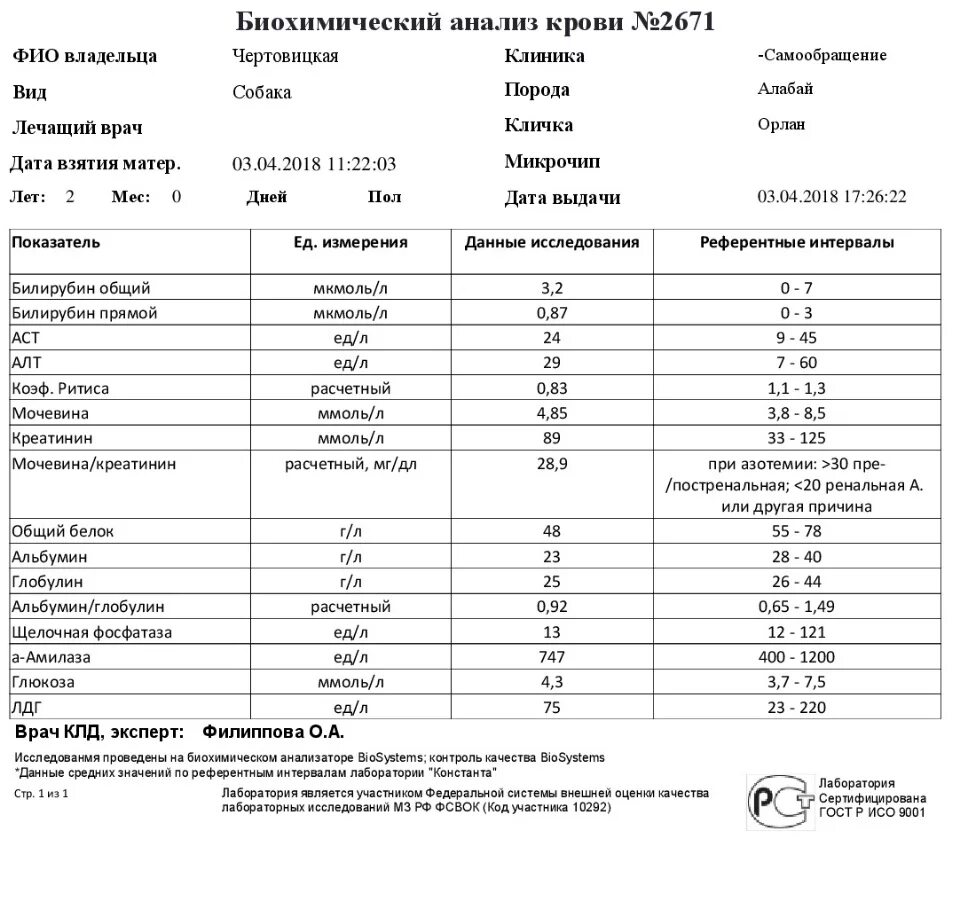 ЩФ В биохимическом анализе крови норма. Щелочная фосфатаза в биохимическом анализе крови норма. Щелочная фосфатаза в биохимическом анализе норма. Щелочная фосфатаза норма ммоль. Повышенная щелочная фосфатаза у собак причины