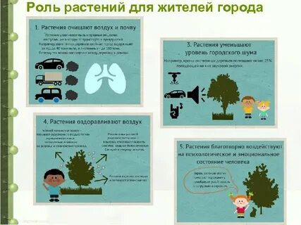 Роль растений в решении экологических проблем