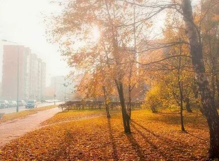 Утро осень город