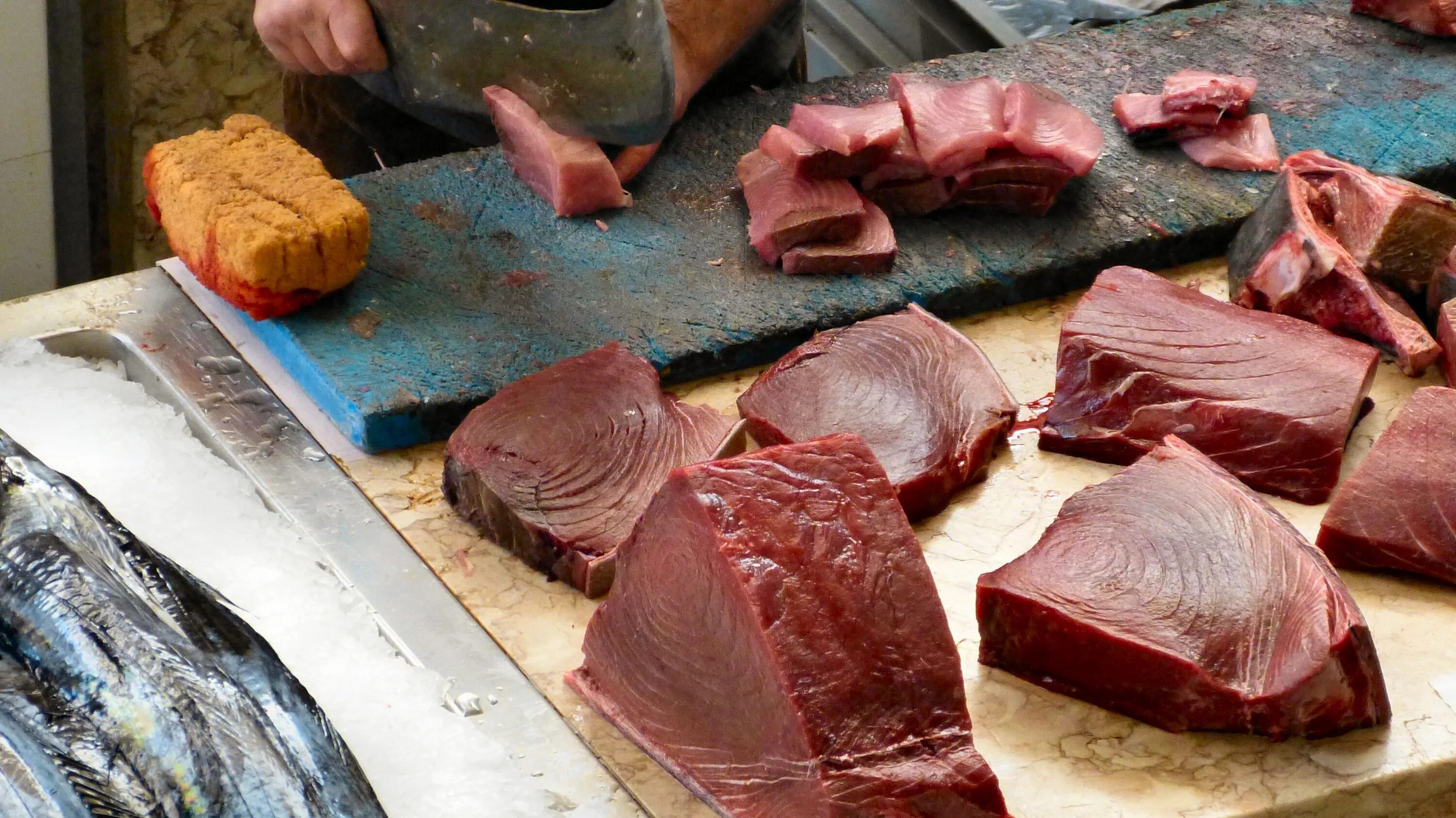 Мясо тунца сырое. Тунец рыба мясо. Конина в сыром виде.