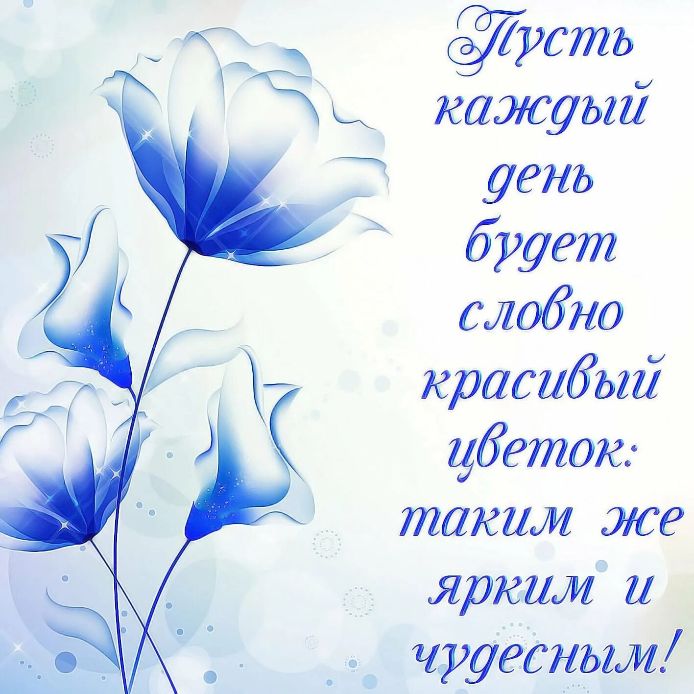 Пожелания. Открытки с пожеланиями. Открытки с пожеланиями на каждый день. Картинки со словами добрый день