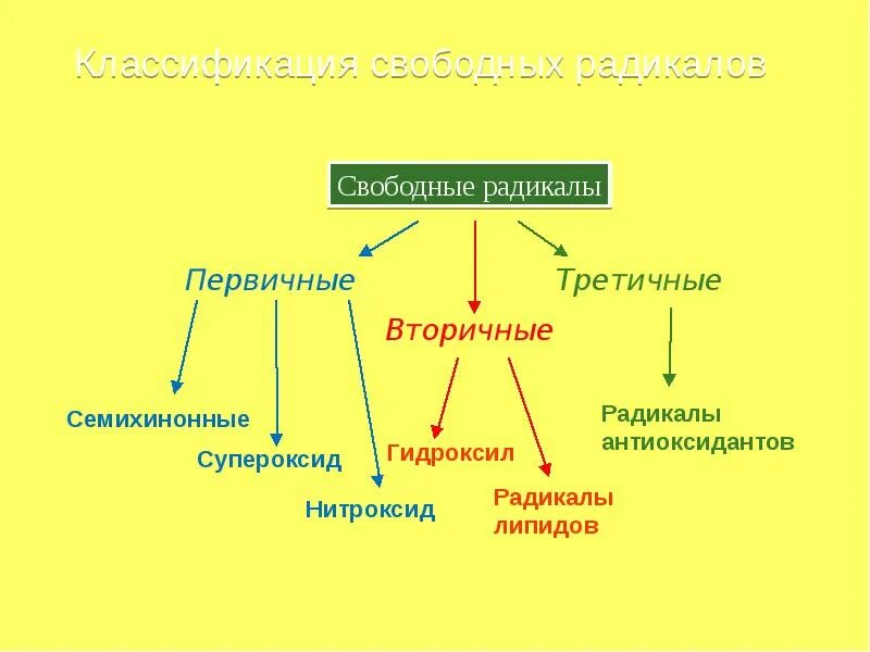 Высшие радикалы. Классификация свободных радикалов. Первичные и вторичные свободные радикалы. Первичные радикалы в организме. Природные радикалы.