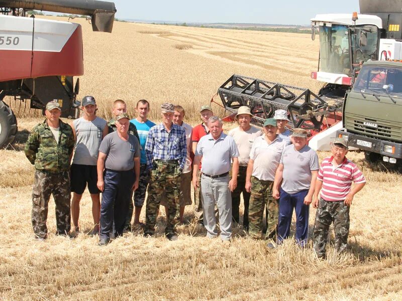 СПК ПЗ Илькино Владимирская область. Уборка зерновых. Уборка зерновых 2020 Ростовская область. Уборка зерновых 2020.