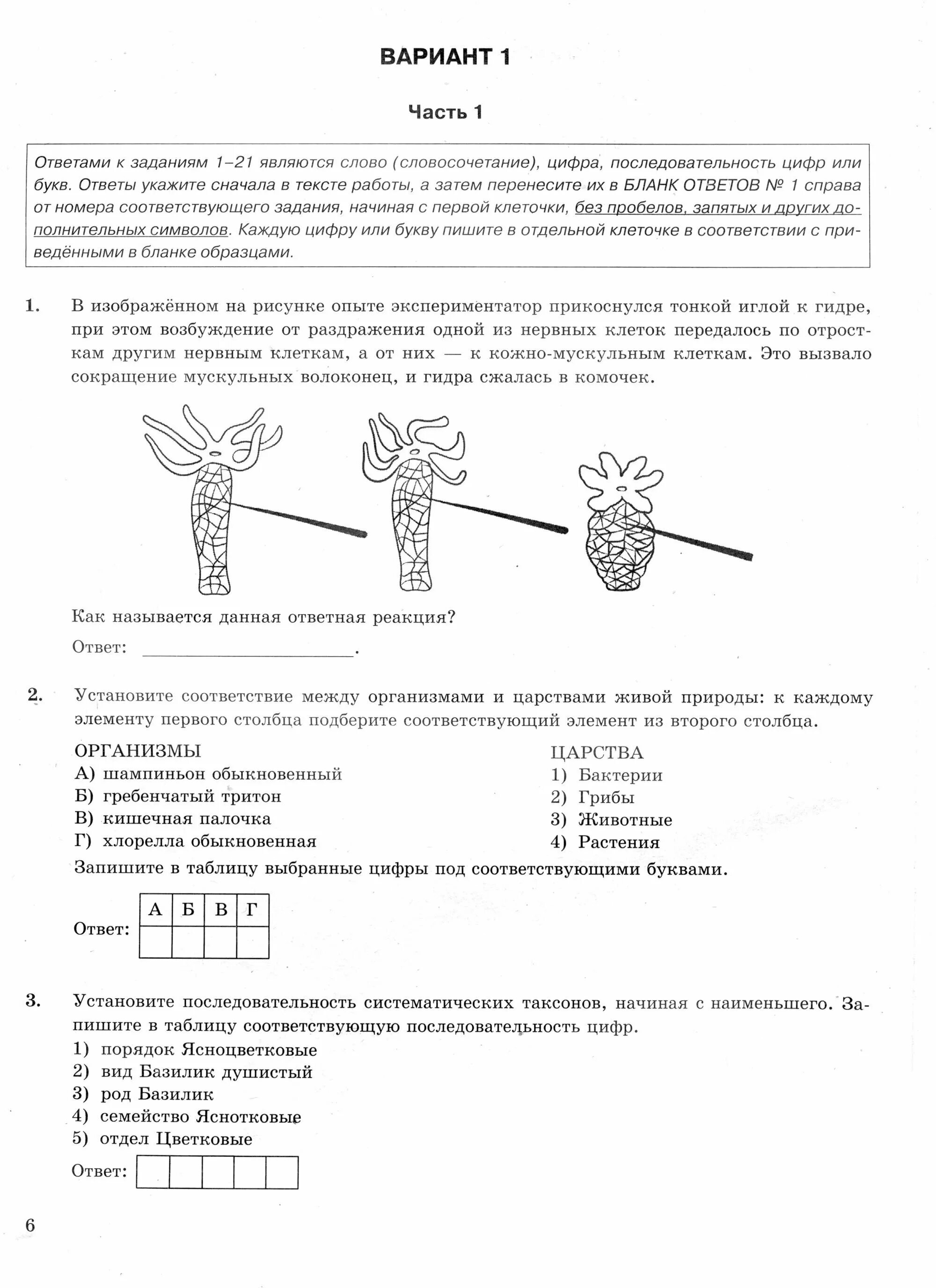 Фипи огэ 2023 биологии