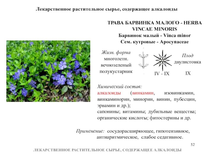 Сырье содержит. Лрс содержащие алкалоиды. лекарственное сырье содержащее алкалоиды. лекарственное растительное сырье содержащее алкалоиды. растения содержащие алкалоиды фармакогнозия.