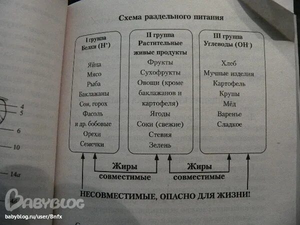 Раздельное питание результаты. Раздельное питание результаты