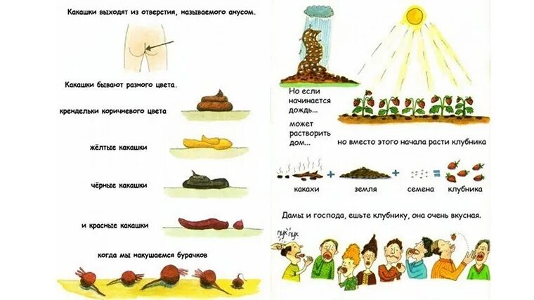сказка приключение кака шки. детская книга путешествие какашки. приключение какашки детская книжка. детская книга про какашку. книга какашек.