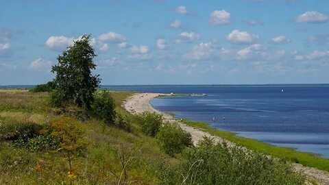 Впадает в ильмень 4