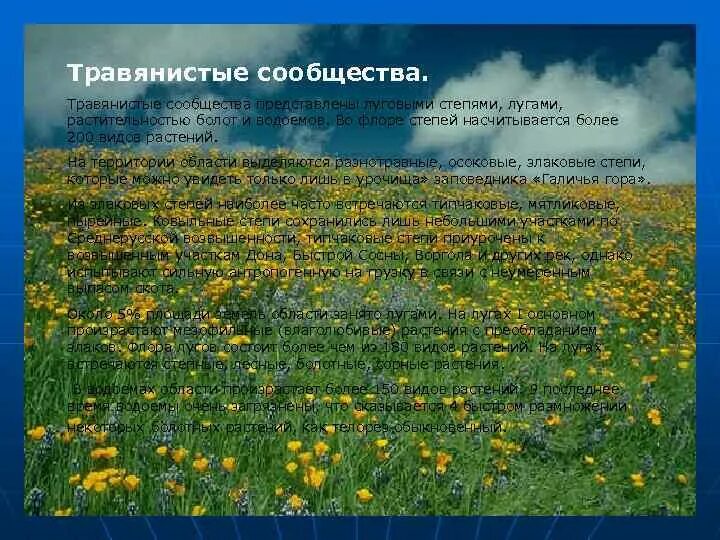 Сообщение о природном сообществе родного края