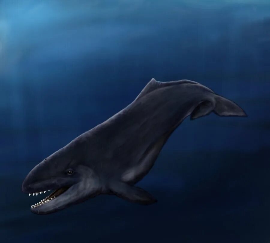 Кошелот. Левиафан Мелвилла. Доисторический кит Левиафан Мелвилла. Левиафан Кашалот. Левиафан древний кит.