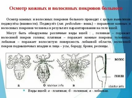 Повторная обработка педикулеза через сколько дней