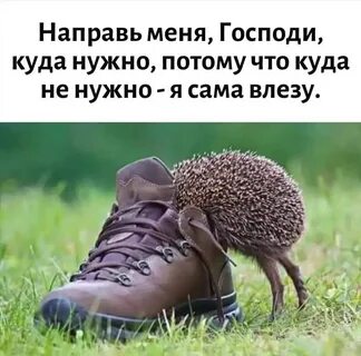 Скорее всего будет таким а
