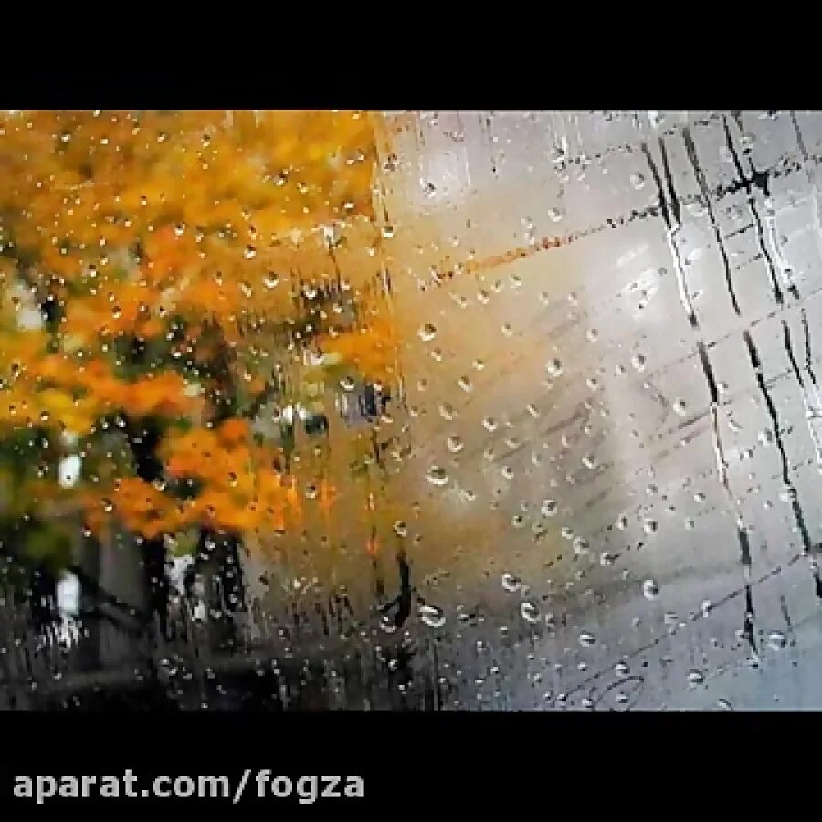 два месяца дождя. рассвет. зонт под дождем. дождь картинки. два месяца дождя.