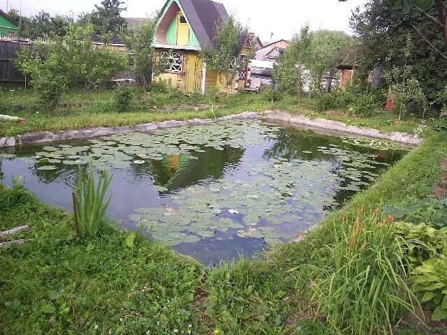 Сад калужская область. Яблочные сады в казани. Калужская область ул ленина 15 детский сад. Парк воробьи калуга. Парк воробьи калужское шоссе.